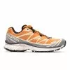 Salomon XT-6 APRICOT BUFF/FROST GRAY/VELVET MORNING 1 Salomon XT-6 APRICOT BUFF/FROST GRAY/VELVET MORNING -Women's Footwear Sales Shop SalomonXT 6APRICOTBUFFFROSTGRAYVELVETMORNING8L41709900 1 grande