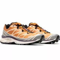 Salomon XT-6 APRICOT BUFF/FROST GRAY/VELVET MORNING -Women's Footwear Sales Shop SalomonXT 6APRICOTBUFFFROSTGRAYVELVETMORNING8L41709900 2 grande